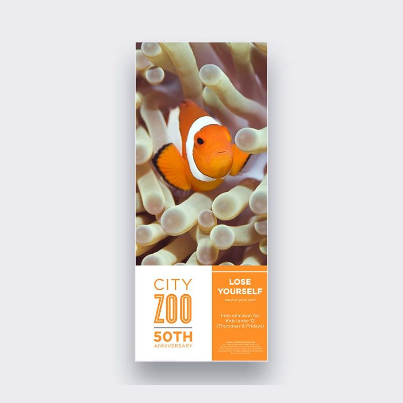 Standard Pull-Up Banner - 850mm x 2000mm